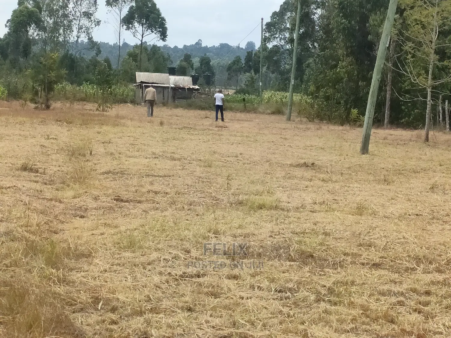 Karatina/Hiriga 1acre in Karatina Town