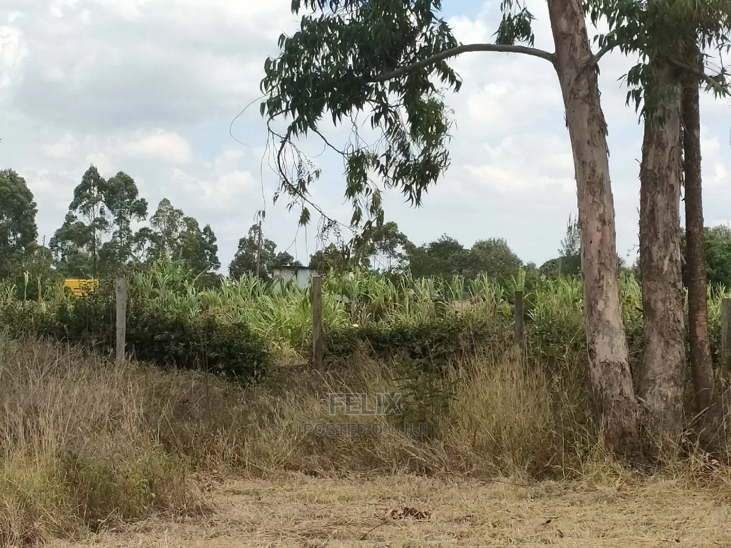 Karatina/Hiriga 1acre in Karatina Town