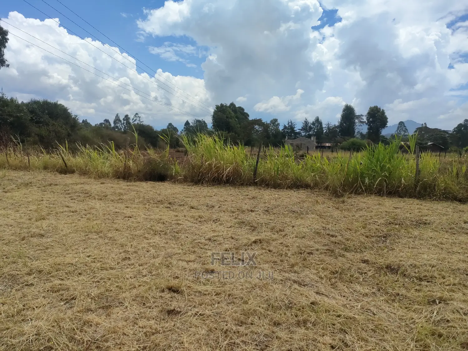 Karatina/Hiriga 1acre in Karatina Town