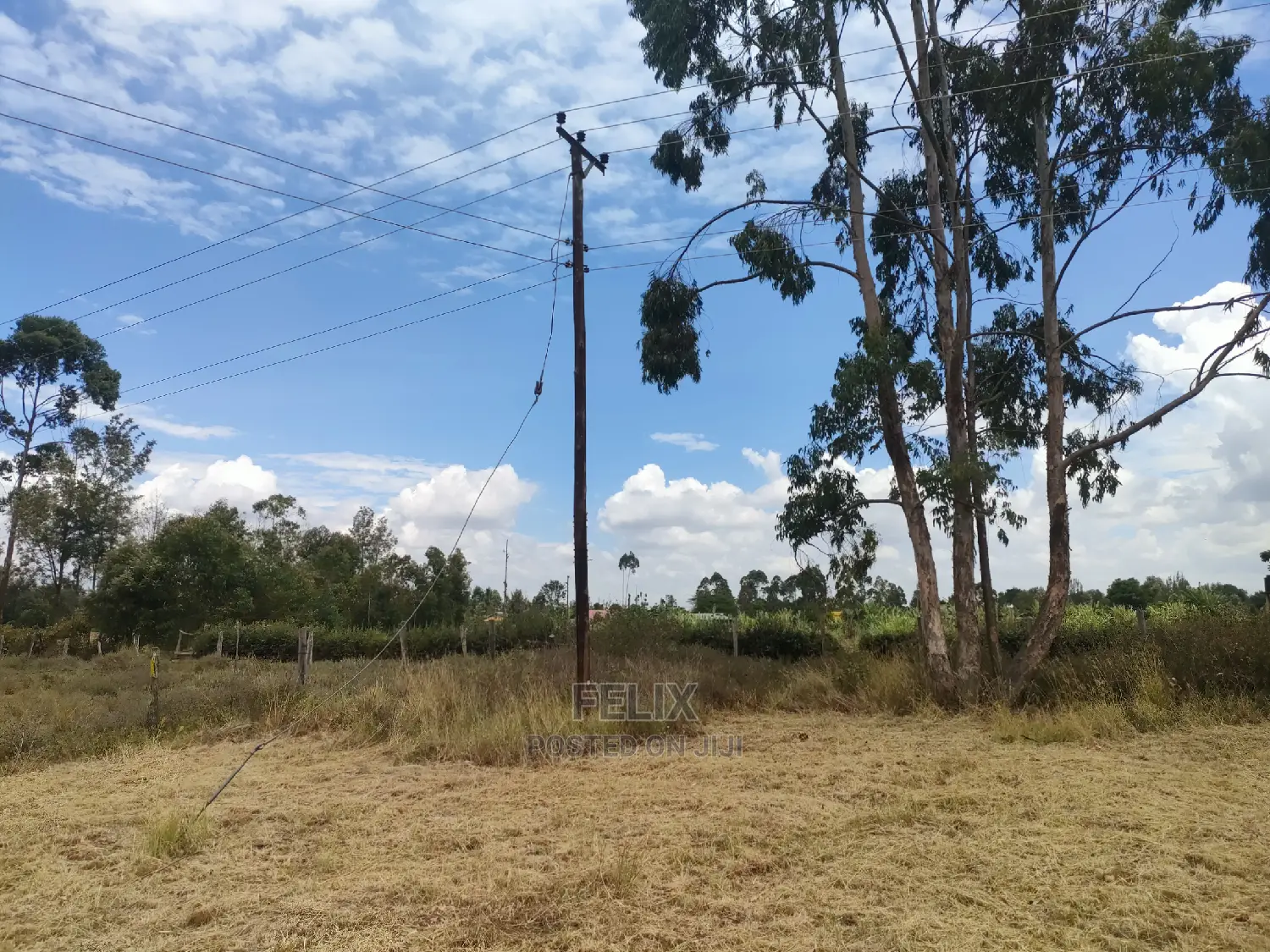 Karatina/Hiriga 1acre in Karatina Town