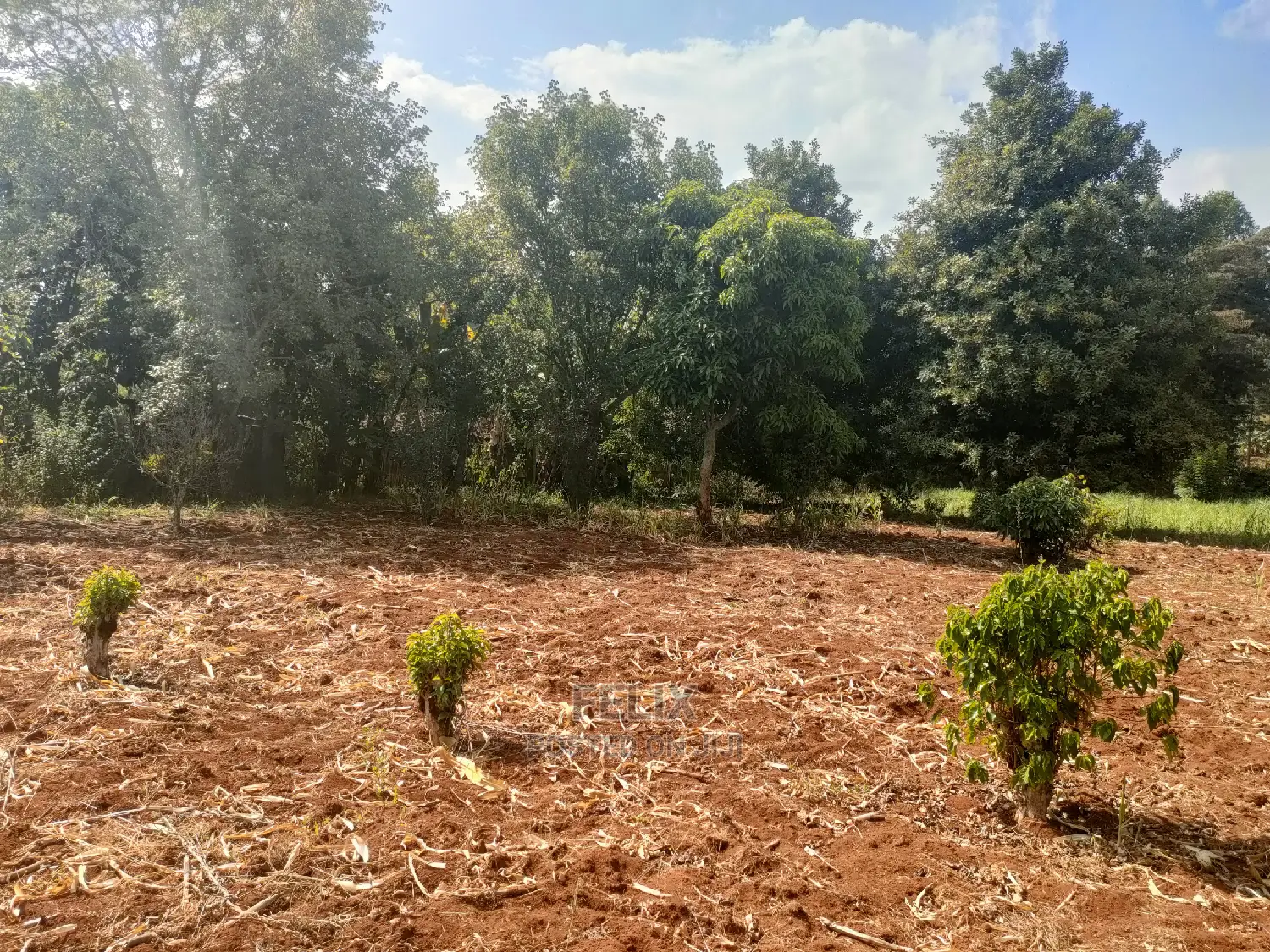 Karatina Kabiruini/Gwa Gachau 1acre in Karatina Town