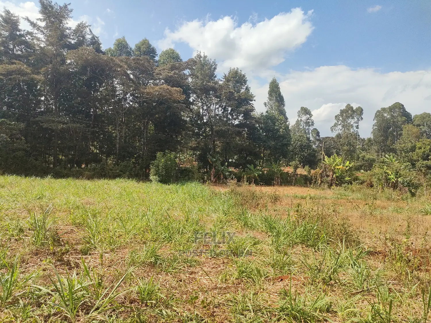 Karatina Kabiruini/Gwa Gachau 1acre in Karatina Town