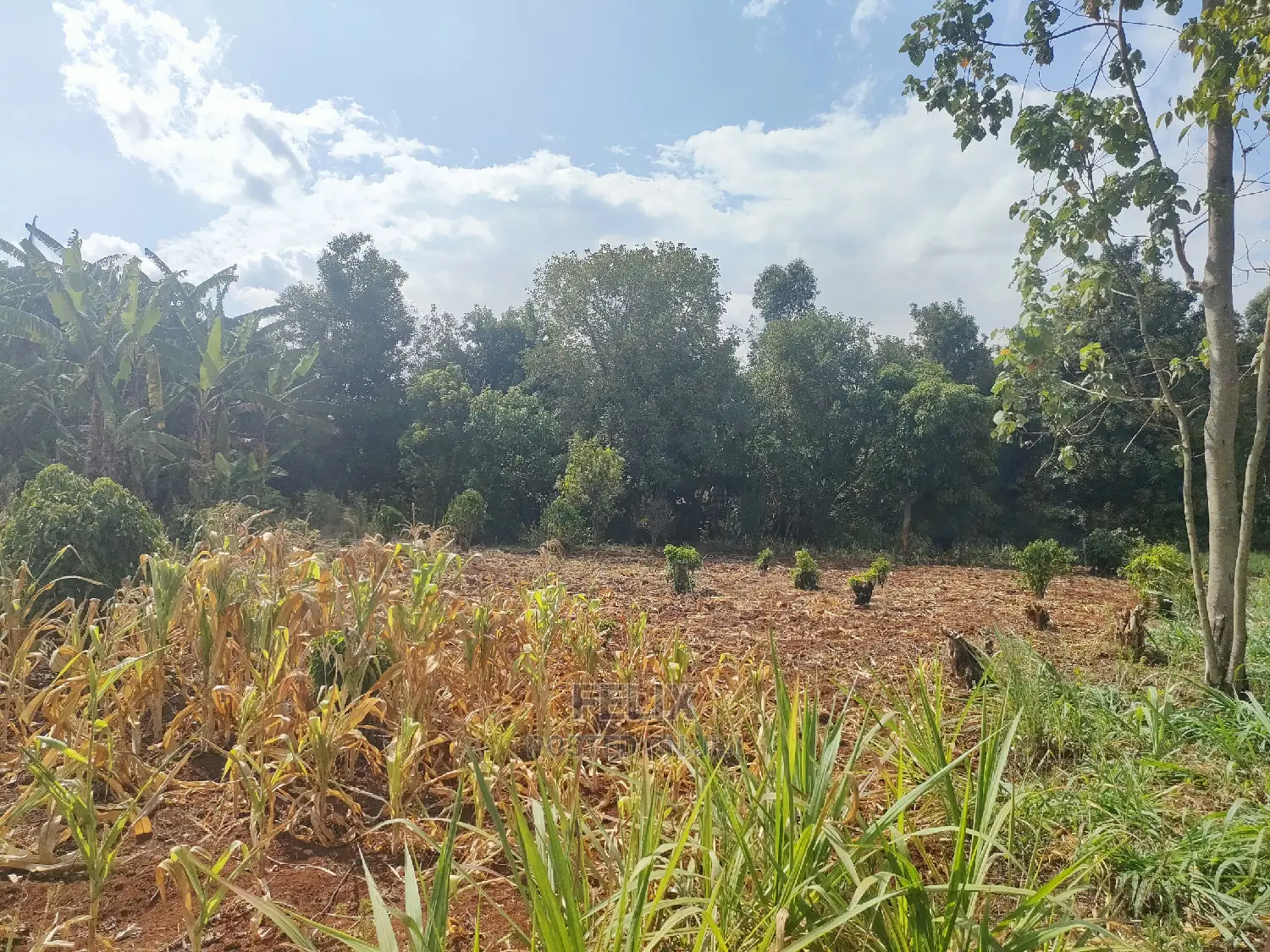 Karatina Kabiruini/Gwa Gachau 1acre in Karatina Town