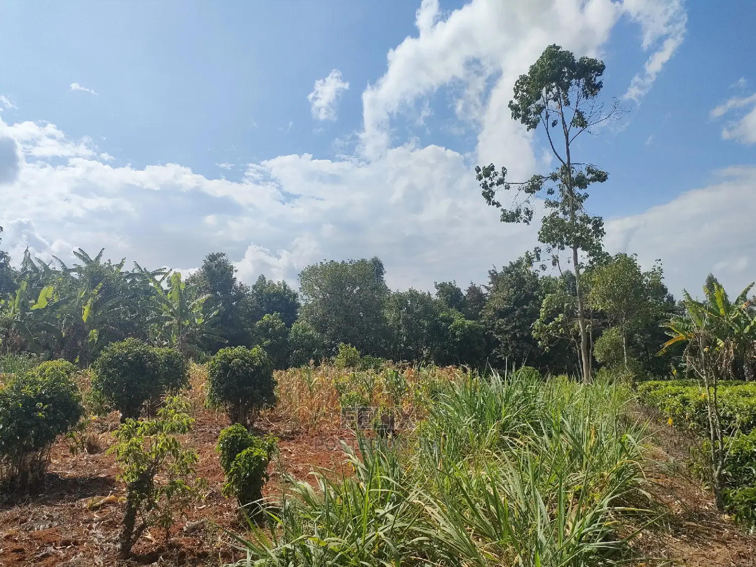Karatina Kabiruini/Gwa Gachau 1acre in Karatina Town