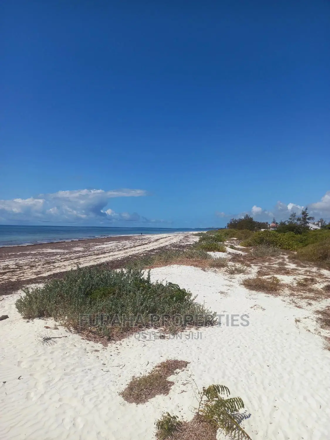 Kilifi's Best Beachfront Acreage - 50 Acres For Sale in Kilifi Town