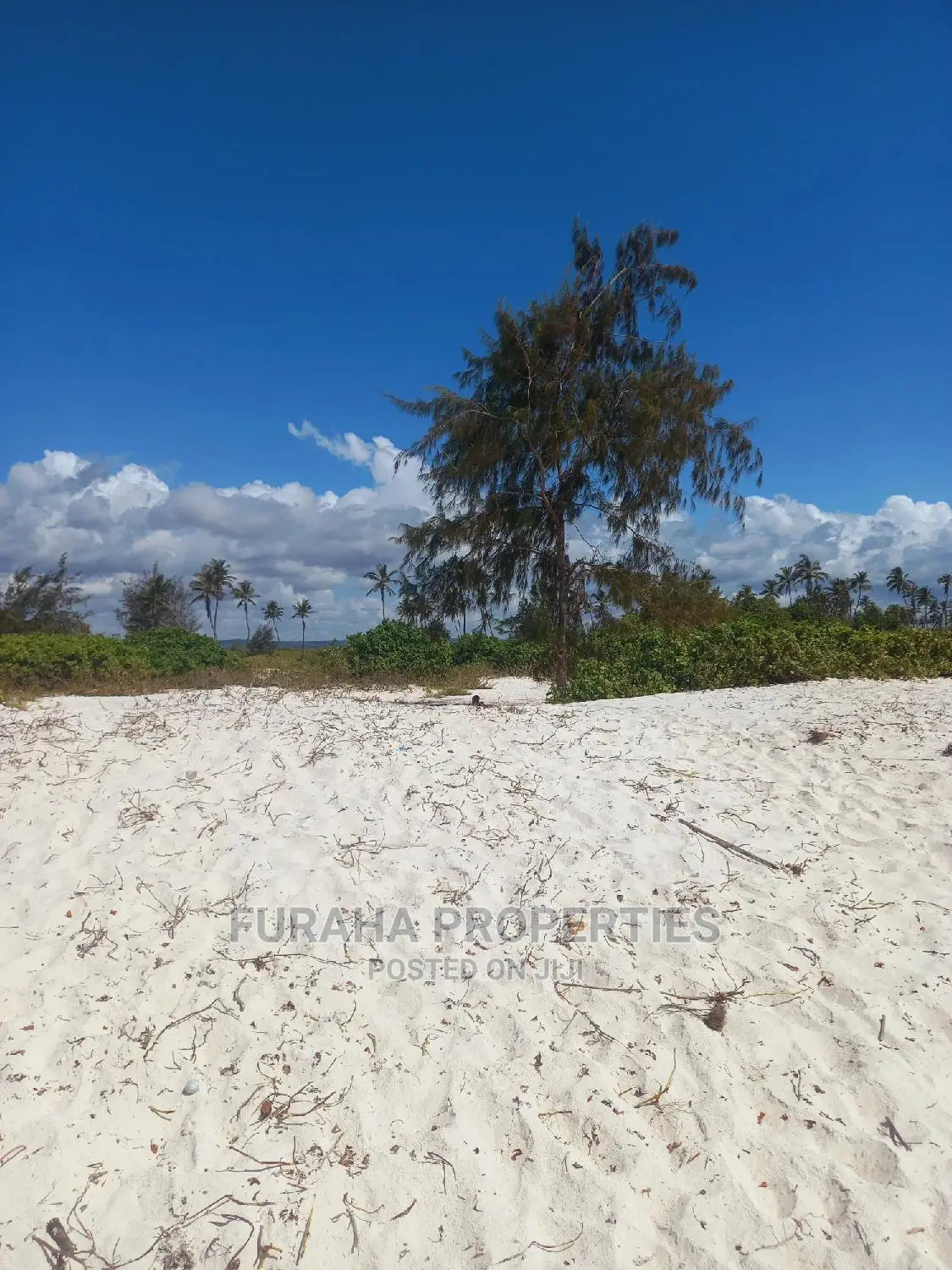 Kilifi's Best Beachfront Acreage - 50 Acres For Sale in Kilifi Town
