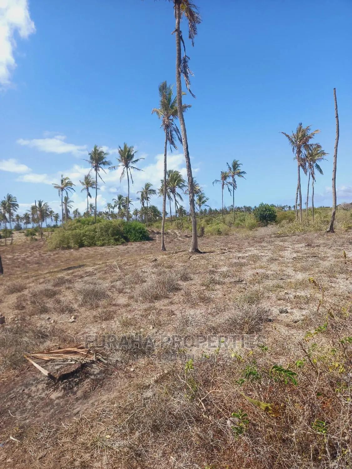 Kilifi's Best Beachfront Acreage - 50 Acres For Sale in Kilifi Town