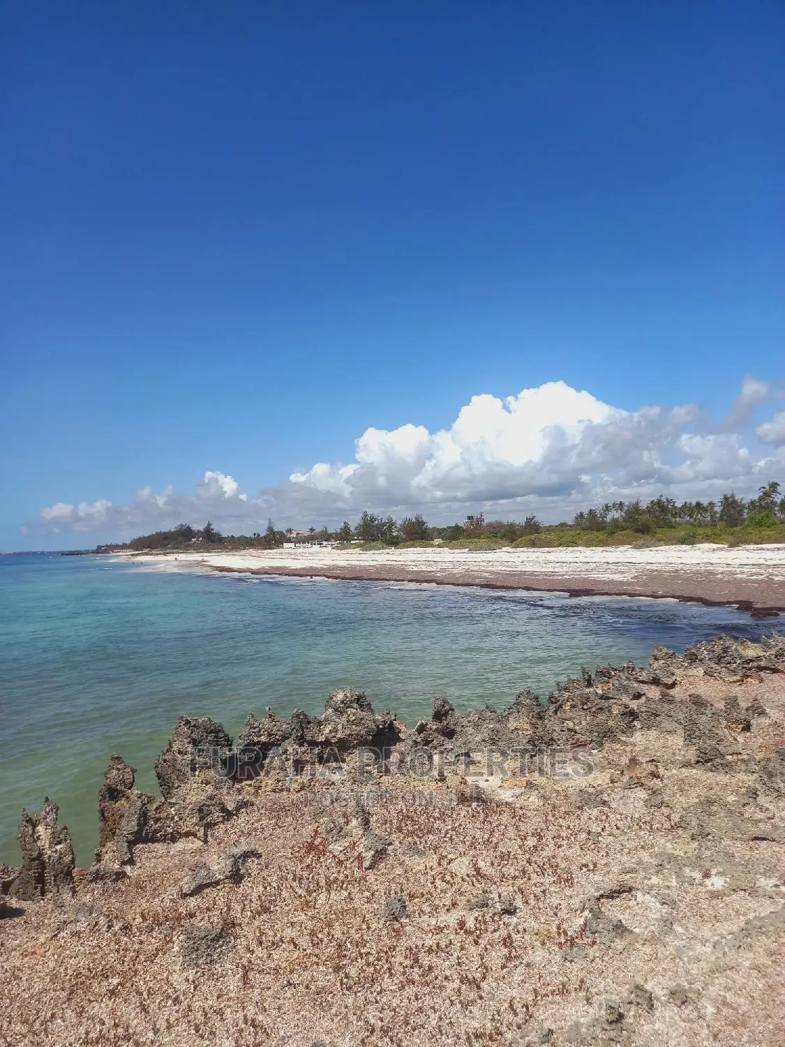Kilifi Chumani Beachfront Land - 20 Acres for Sale - Seize the Coastal Dream in Kilifi North
