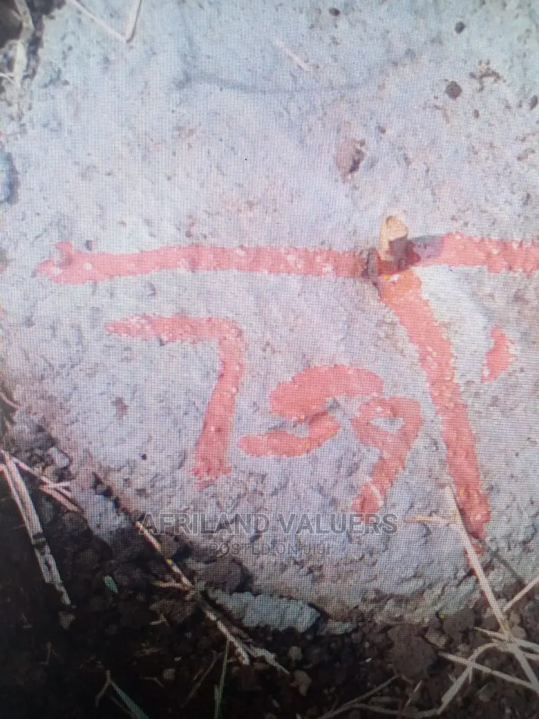 1/4 Plot in Kabarak - Ideal for Residential Development! in Kiamunyi