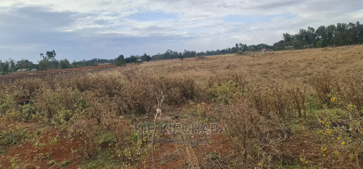 Marura Tarmac Land: Affordable Plots for Sale in Eldoret in Kimumu