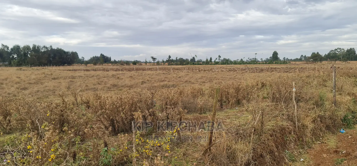 Marura Tarmac Land: Affordable Plots for Sale in Eldoret in Kimumu