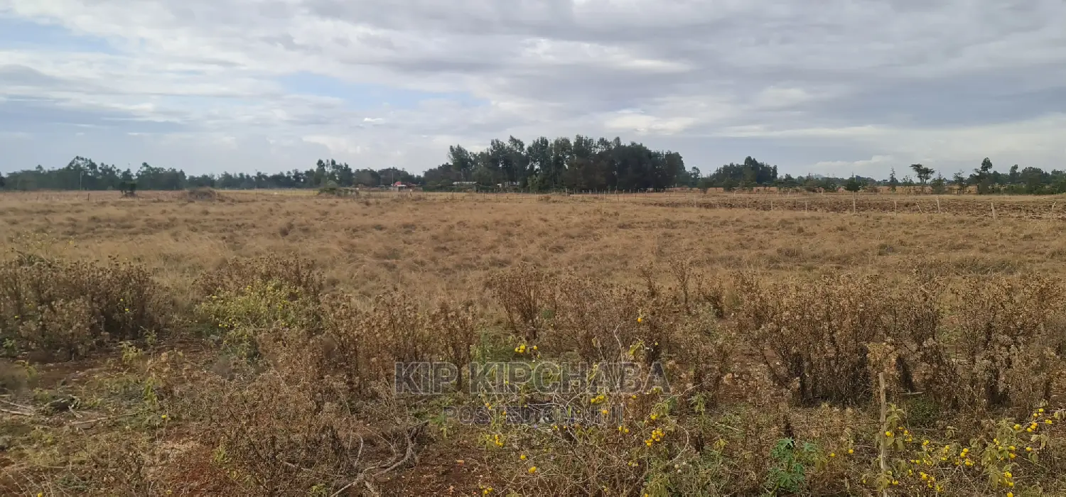 Marura Tarmac Land: Affordable Plots for Sale in Eldoret in Kimumu
