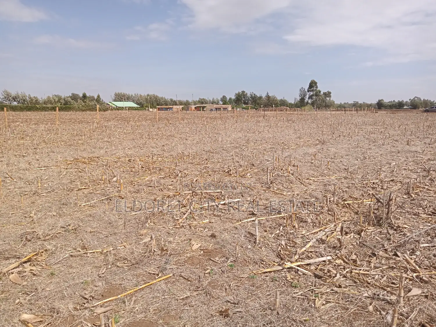Invest in 1/8 and 1/4 Plots on Marura-Koshin Road in Eldoret CBD