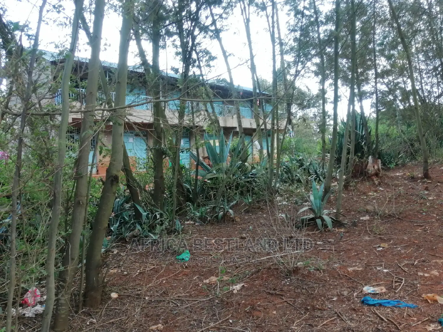 50x100 X100 Residential Plot for Sale in Kikuyu Ondiri in Kikuyu