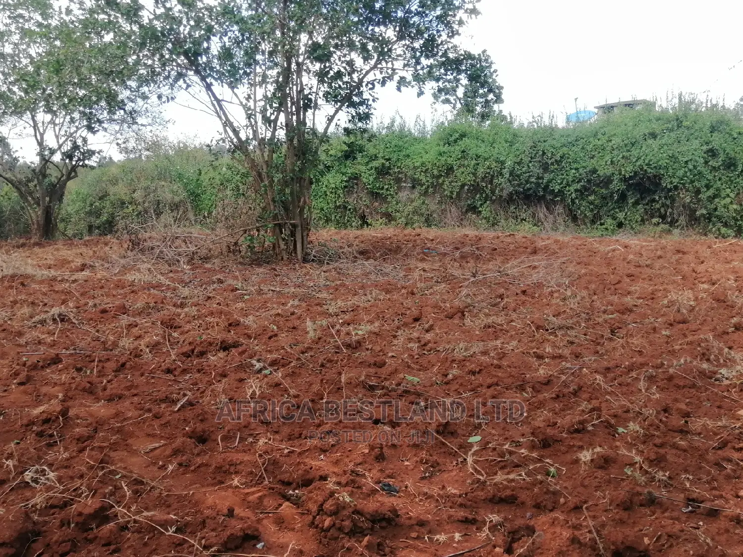 50x100 X100 Residential Plot for Sale in Kikuyu Ondiri in Kikuyu