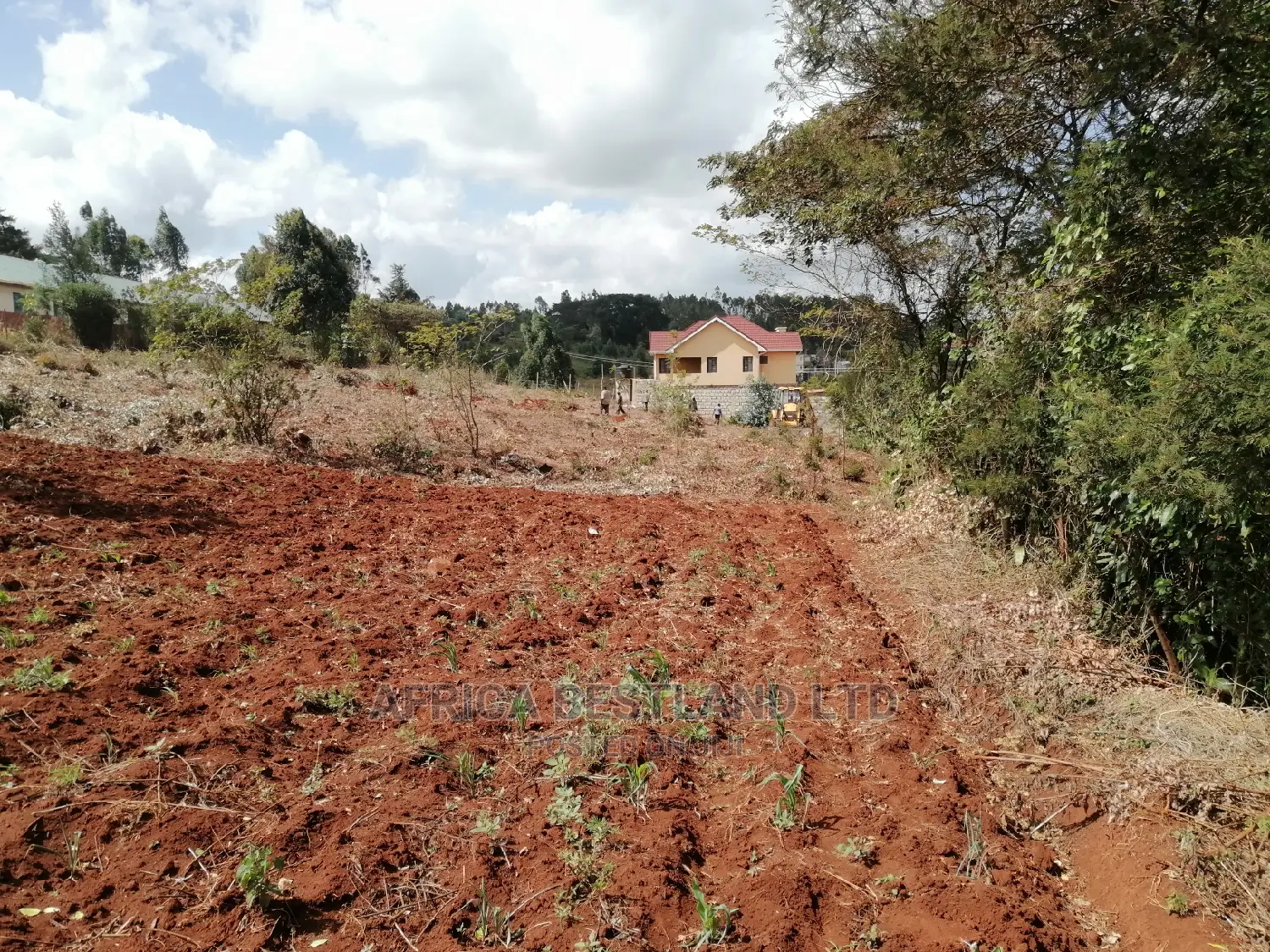 50x100 X100 Residential Plot for Sale in Kikuyu Ondiri in Kikuyu