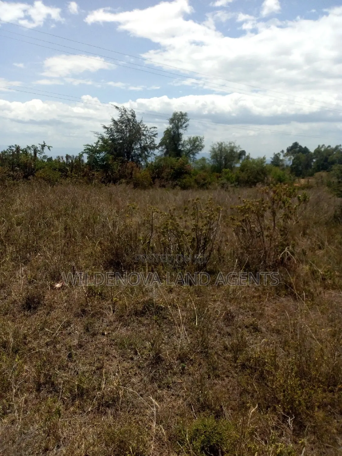 Land Sale in Naivasha Nyamathi - Unbeatable Prices, Unbeatable Value! in Naivasha