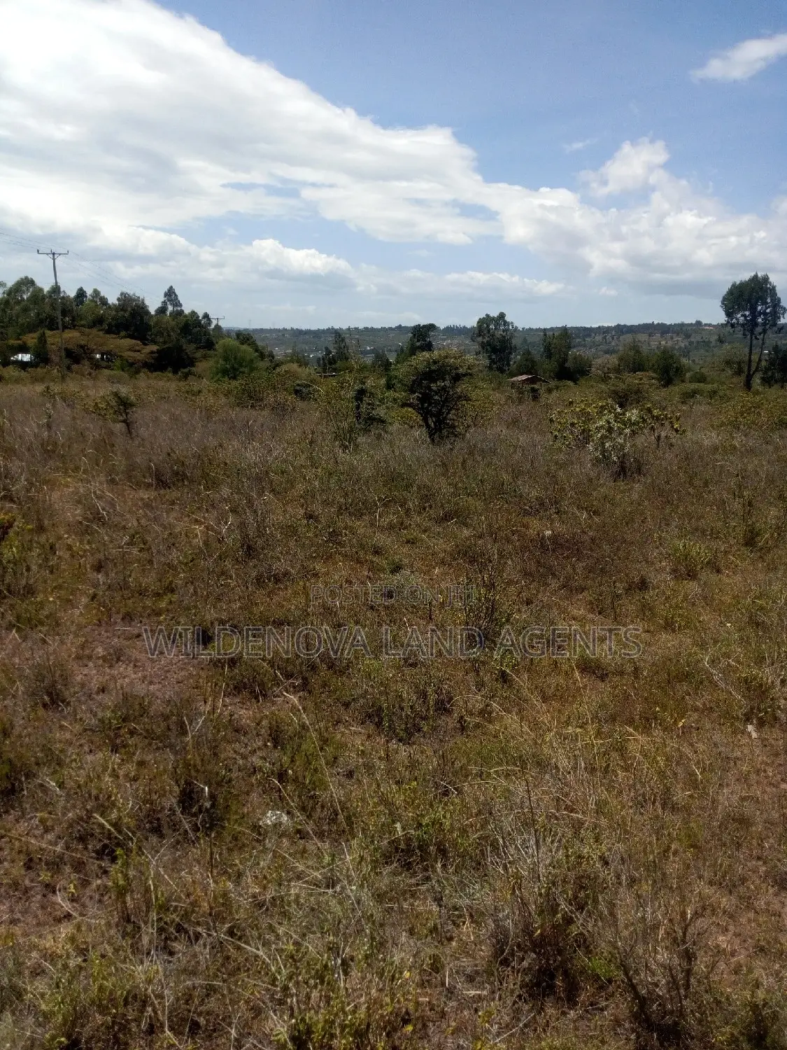 Land Sale in Naivasha Nyamathi - Unbeatable Prices, Unbeatable Value! in Naivasha
