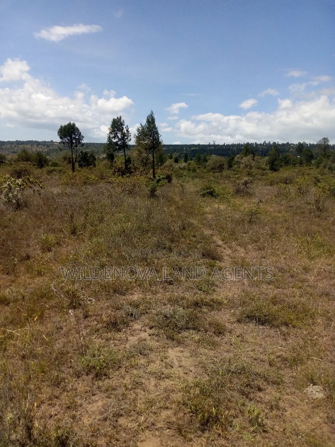 Land Sale in Naivasha Nyamathi - Unbeatable Prices, Unbeatable Value! in Naivasha