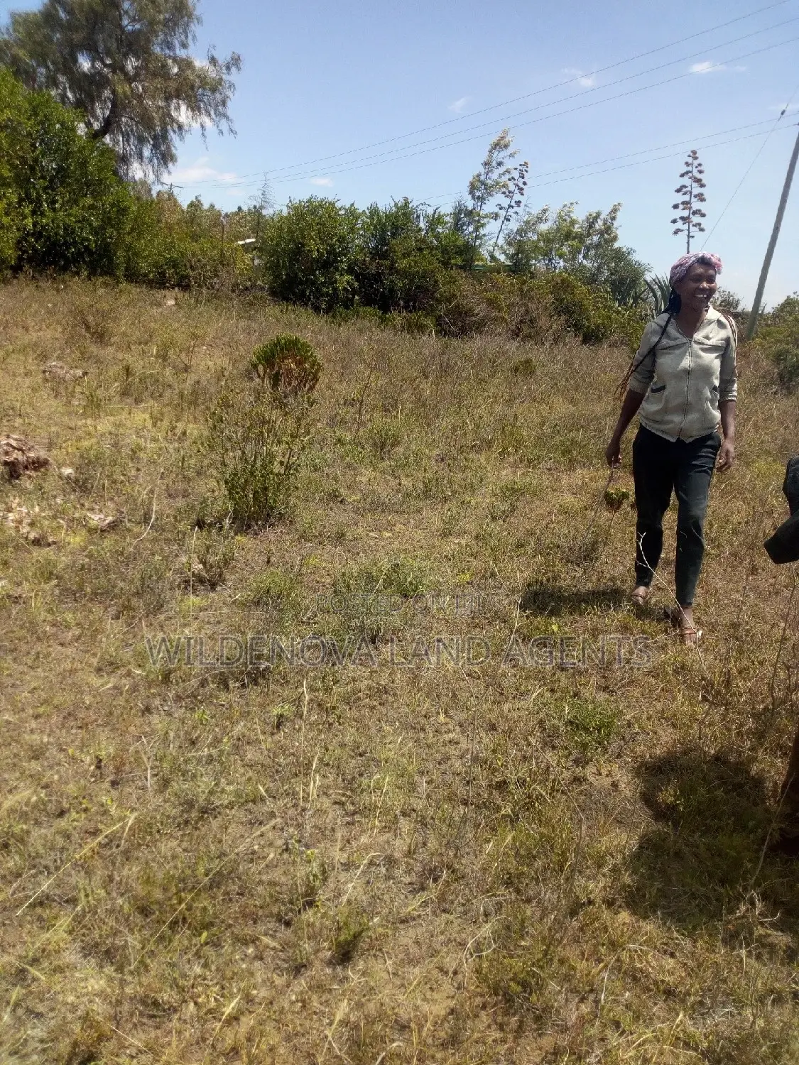Land Sale in Naivasha Nyamathi - Unbeatable Prices, Unbeatable Value! in Naivasha