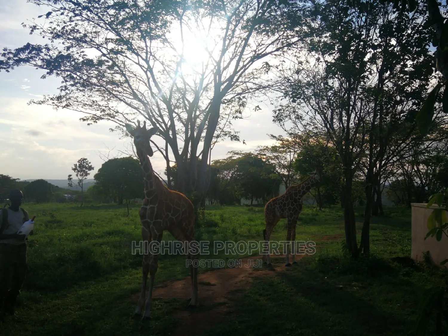 Furnished 4bdrm Villa in Highrise Properties, Vipingo for Sale in Vipingo