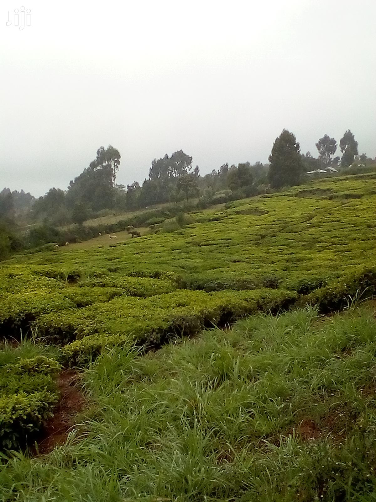3 Acres Kinyogori, Limuru in Limuru CBD