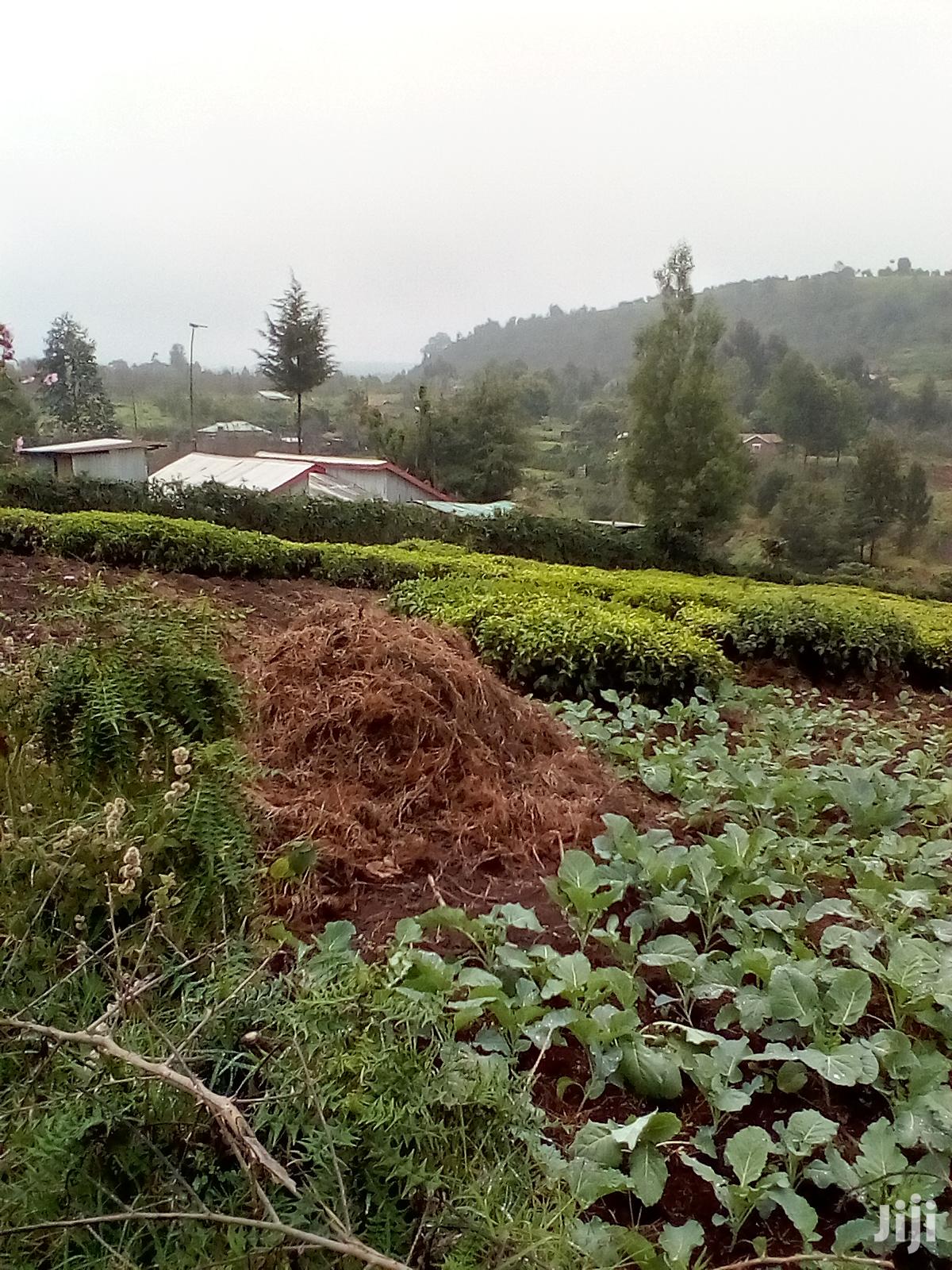 3 Acres Kinyogori, Limuru in Limuru CBD
