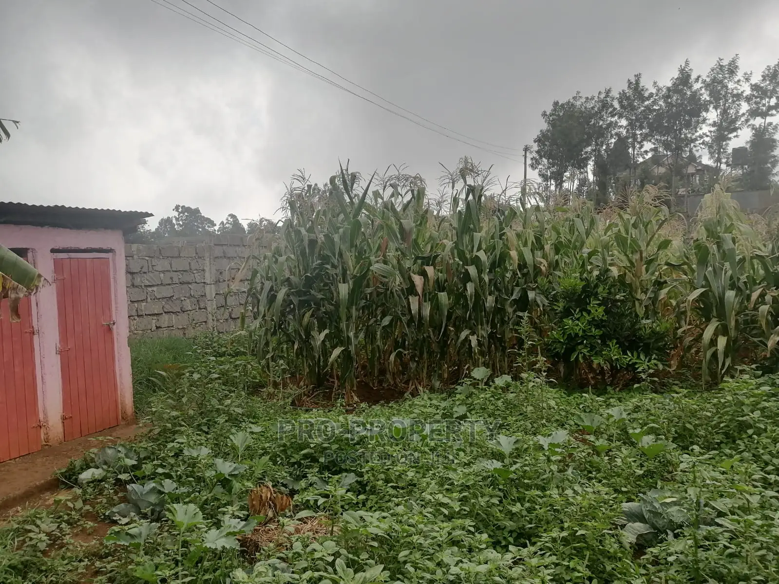 Kikuyu: Spacious Plot Opportunity in Gikambura in Karai