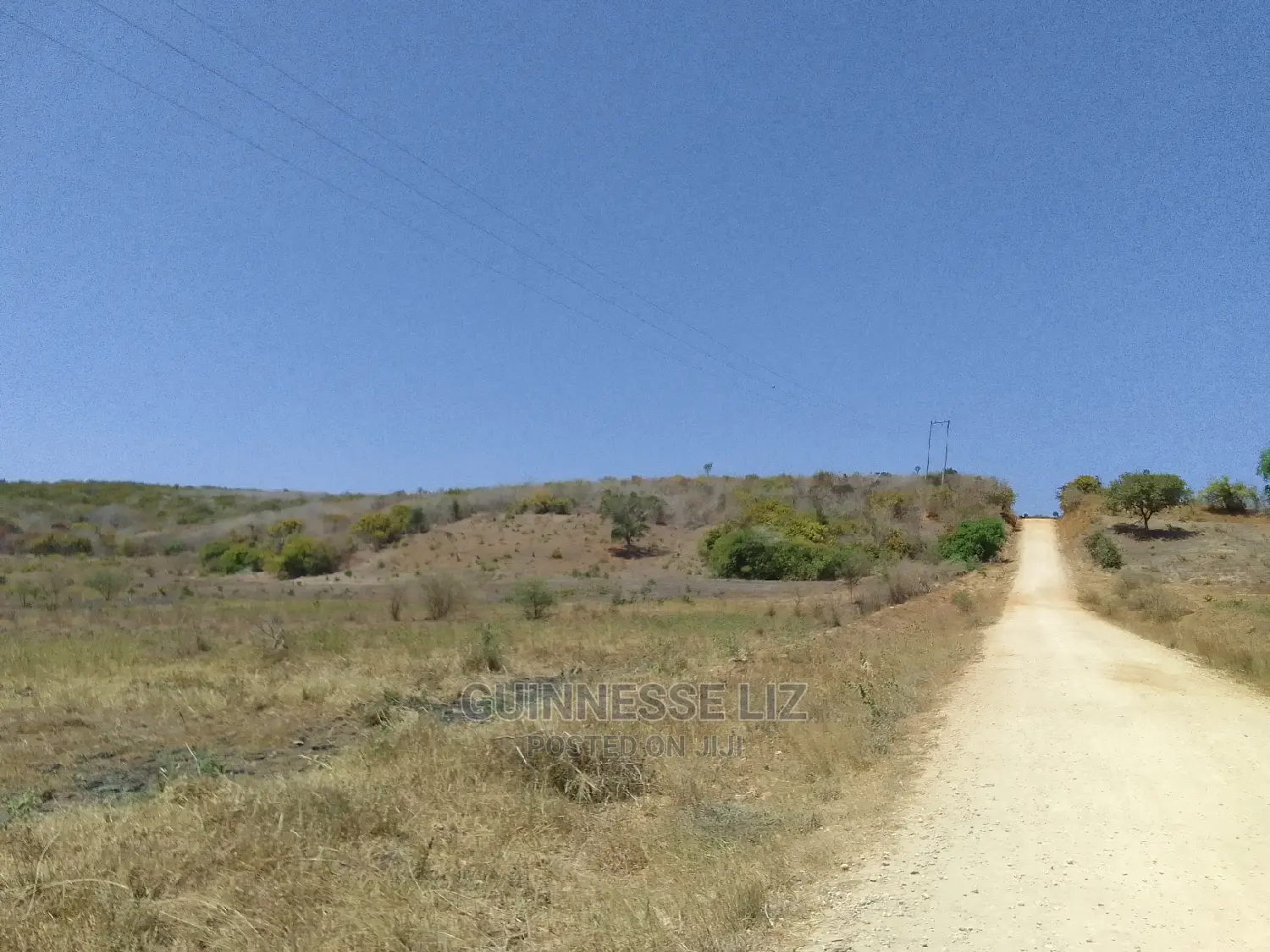 Affordable 30-Acre Land for Sale at $250,000/Acre in Marafa