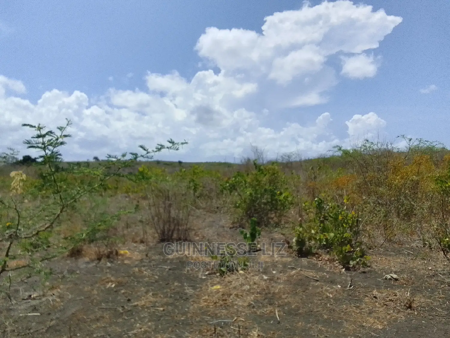 34 Acres of Prime Land Available for Purchase at 150,000/- Per Acre in Marafa