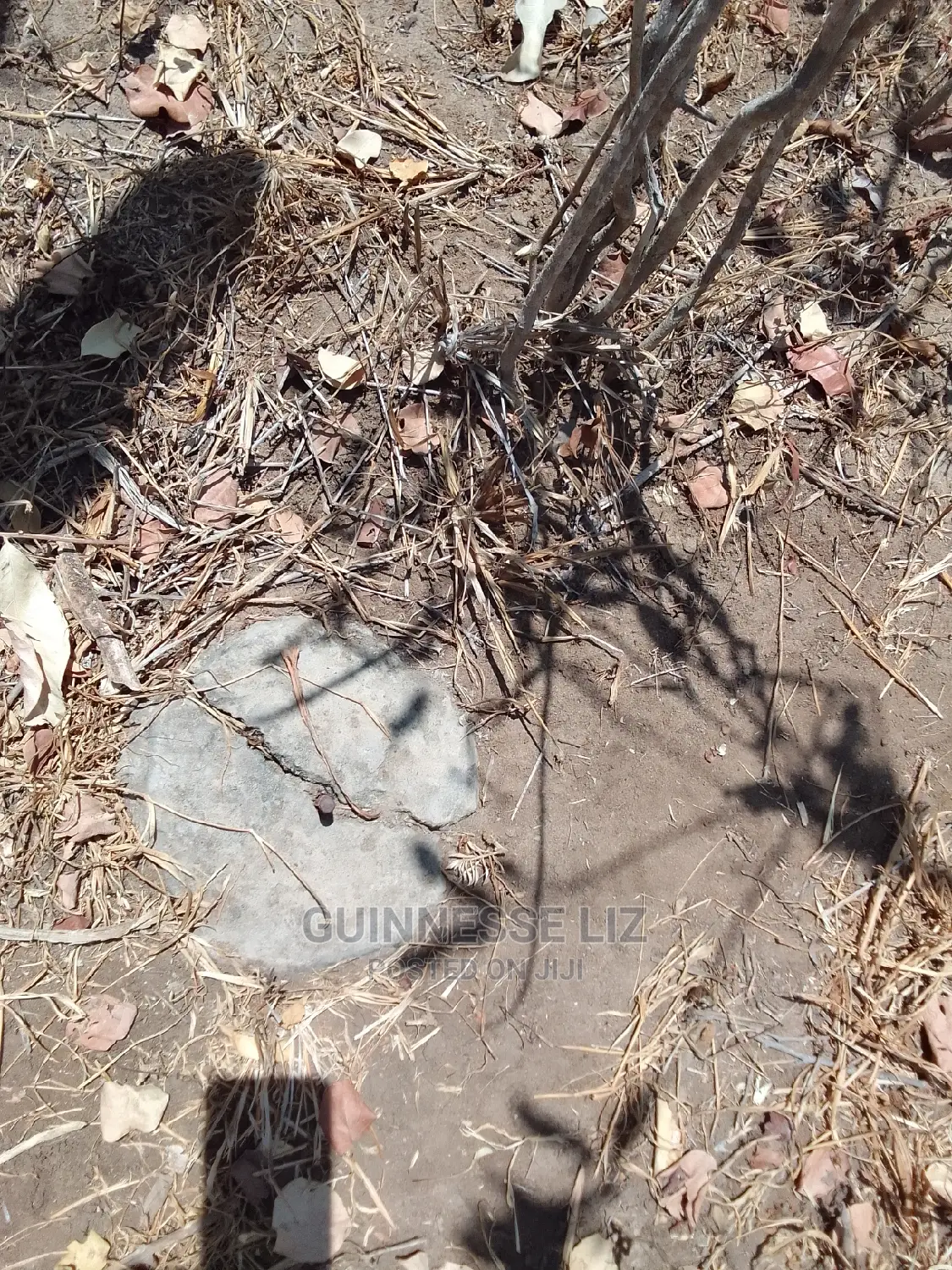 34 Acres of Prime Land Available for Purchase at 150,000/- Per Acre in Marafa
