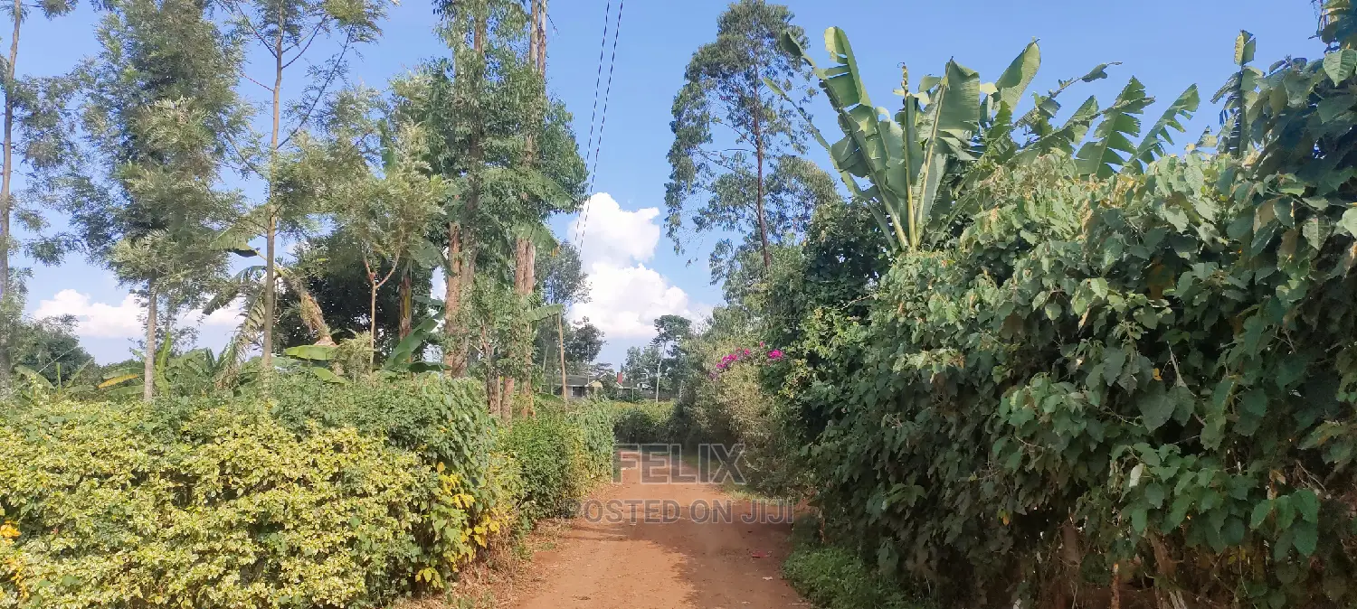 Karatina/Mwanda 3/4 in Karatina Town