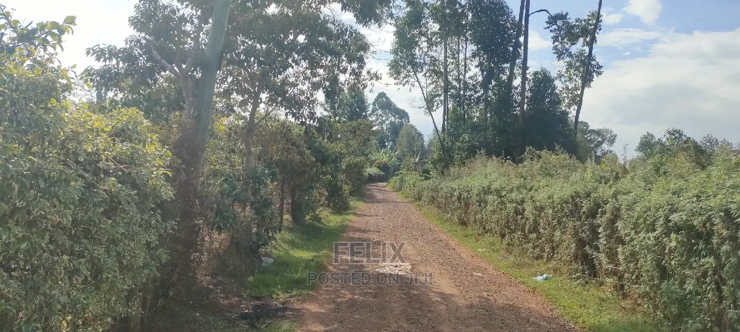 Karatina/Mwanda 3/4 in Karatina Town