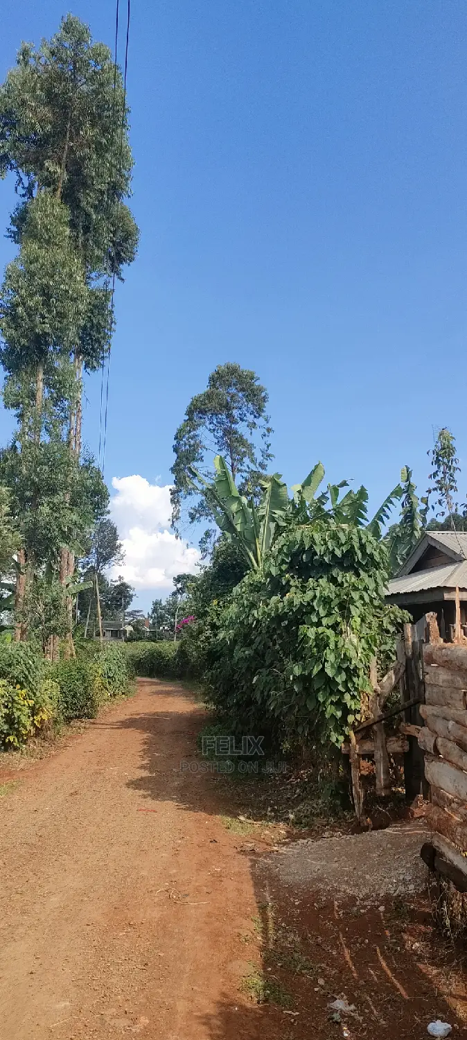 Karatina/Mwanda 3/4 in Karatina Town