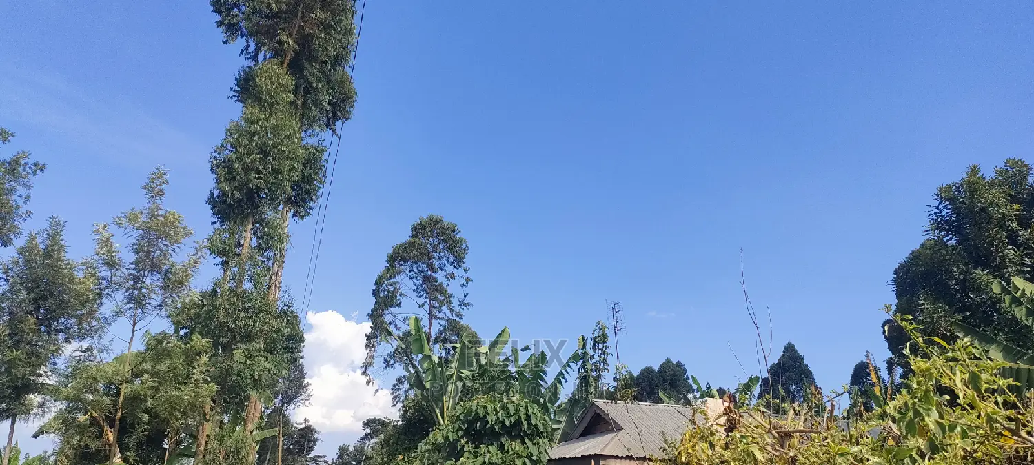 Karatina/Mwanda 3/4 in Karatina Town