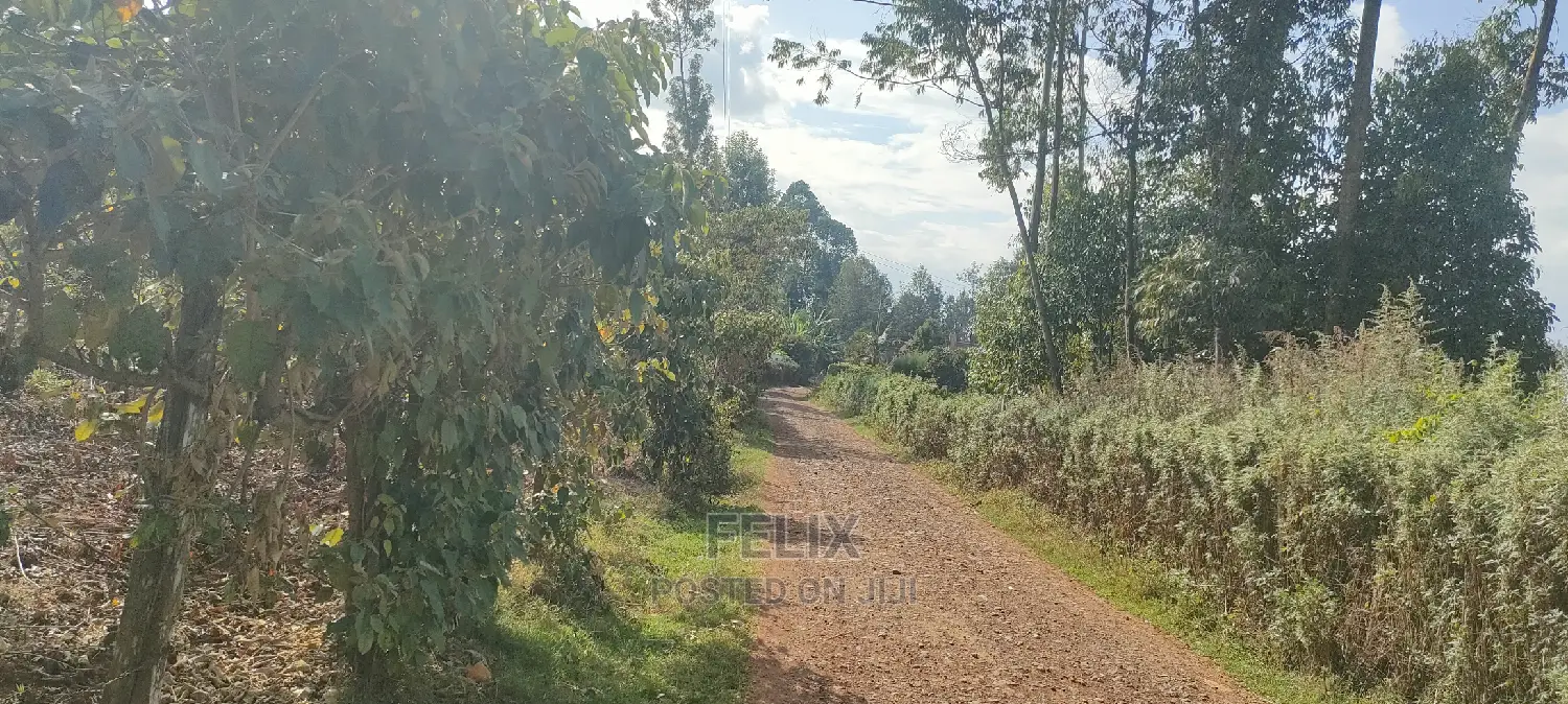 Karatina/Mwanda 3/4 in Karatina Town