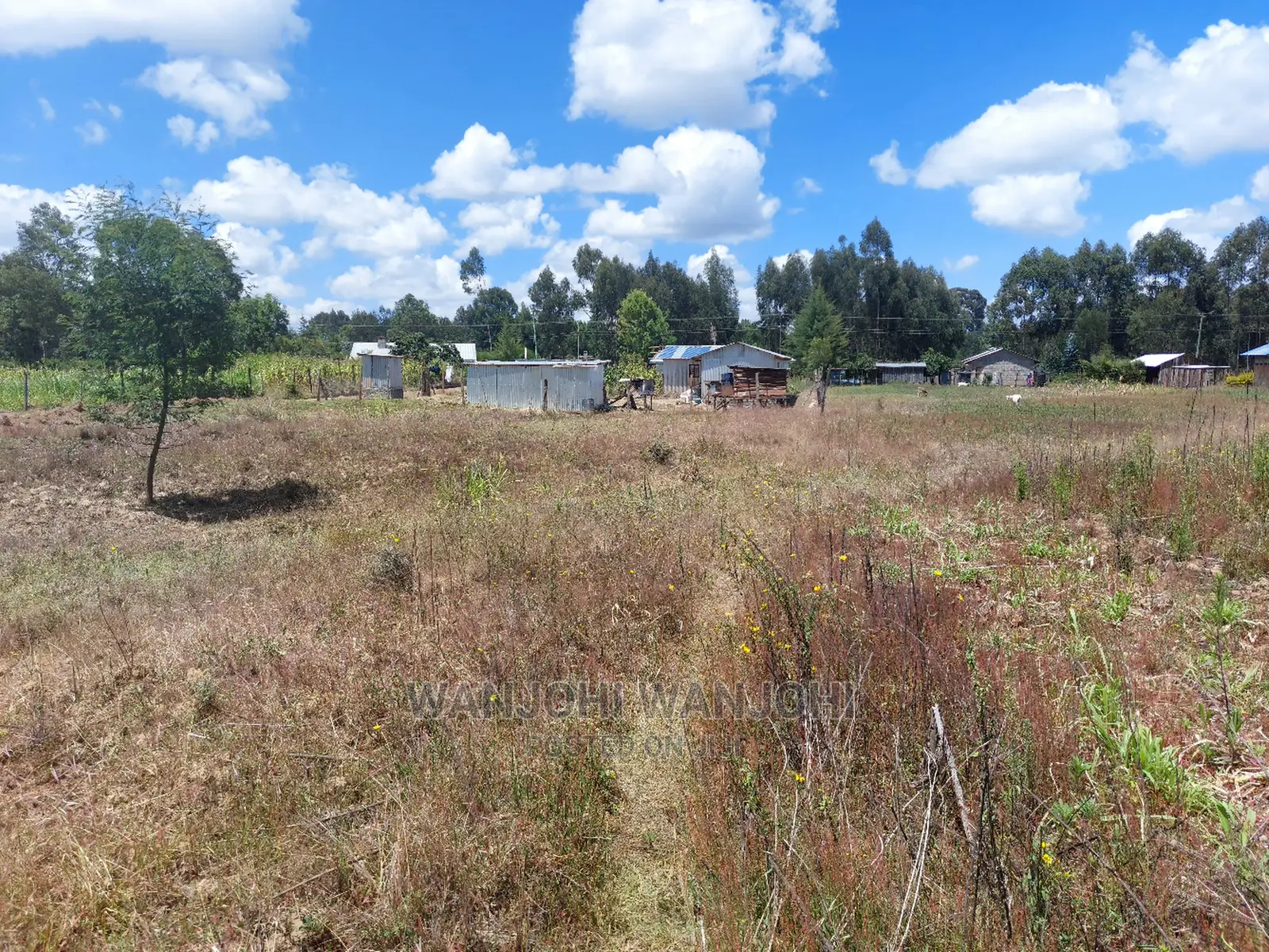 Prime Plots Just 150 Meters From Highway: Limited Time Offer in Gatimu