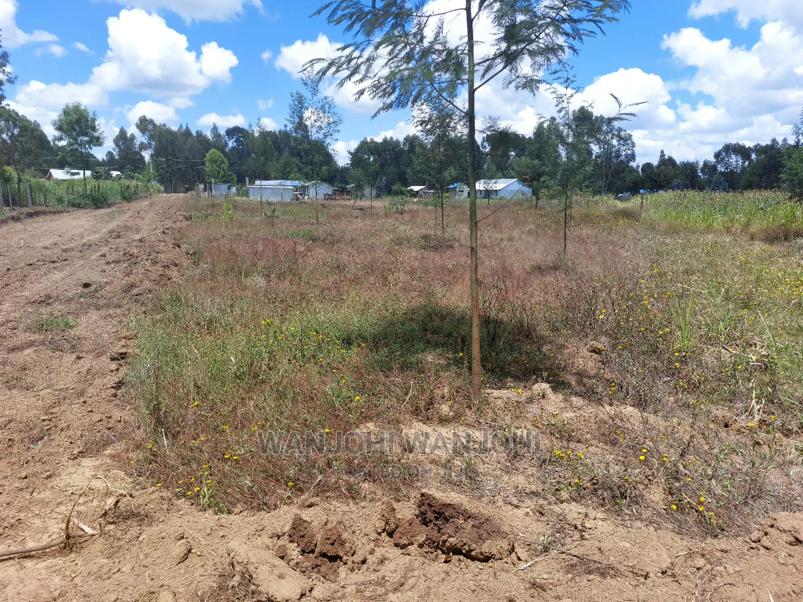 Prime Plots Just 150 Meters From Highway: Limited Time Offer in Gatimu
