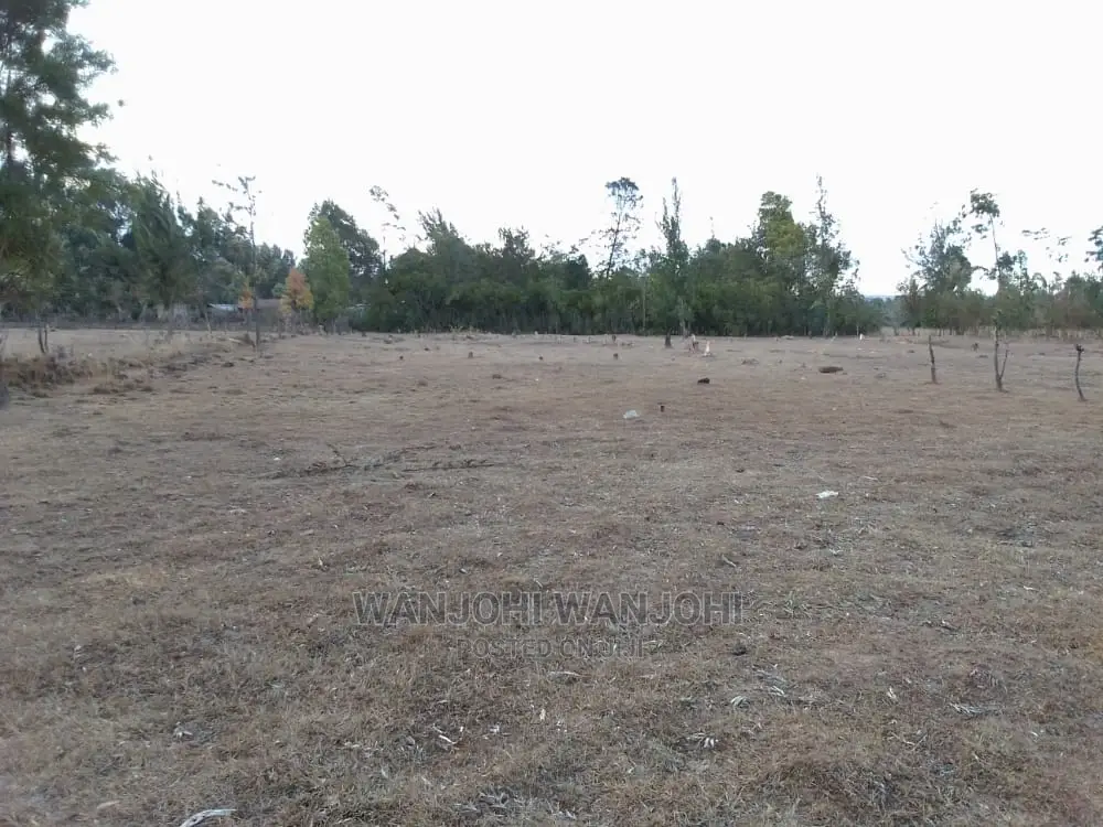 Premium Land for Sale in Nyahururu Oljoroorok - Seize the Opportunity! in Igwamiti