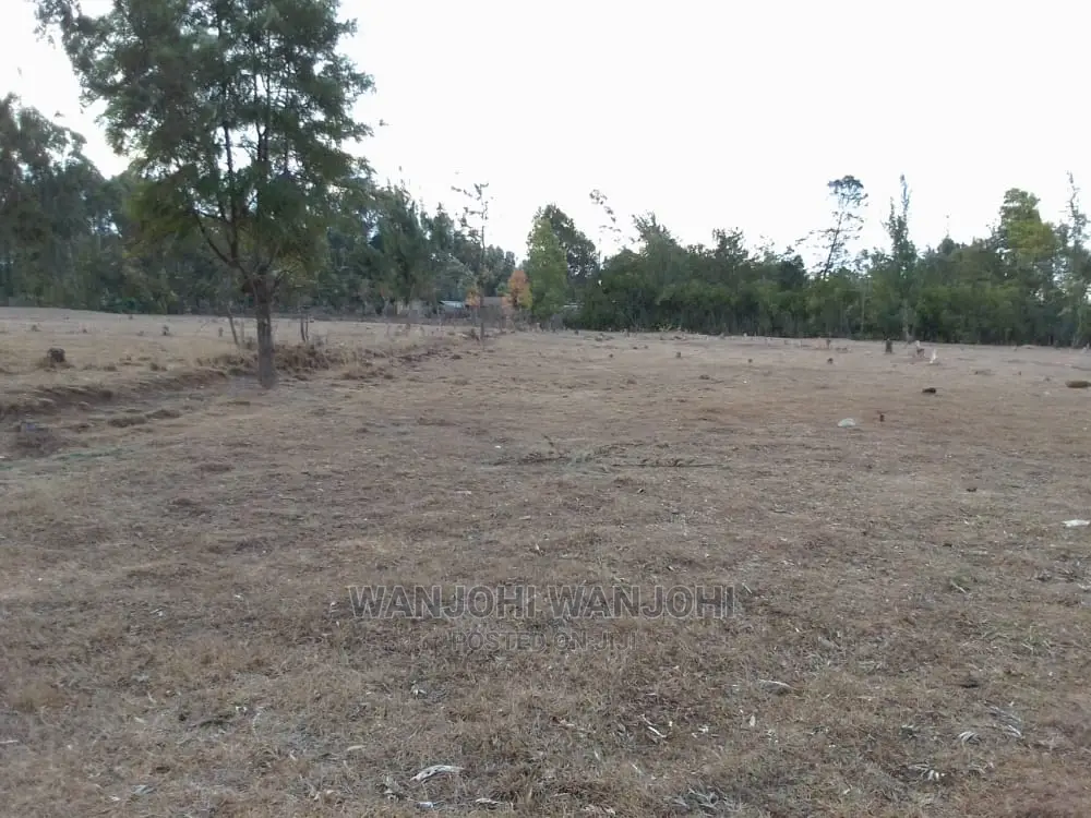 Premium Land for Sale in Nyahururu Oljoroorok - Seize the Opportunity! in Igwamiti