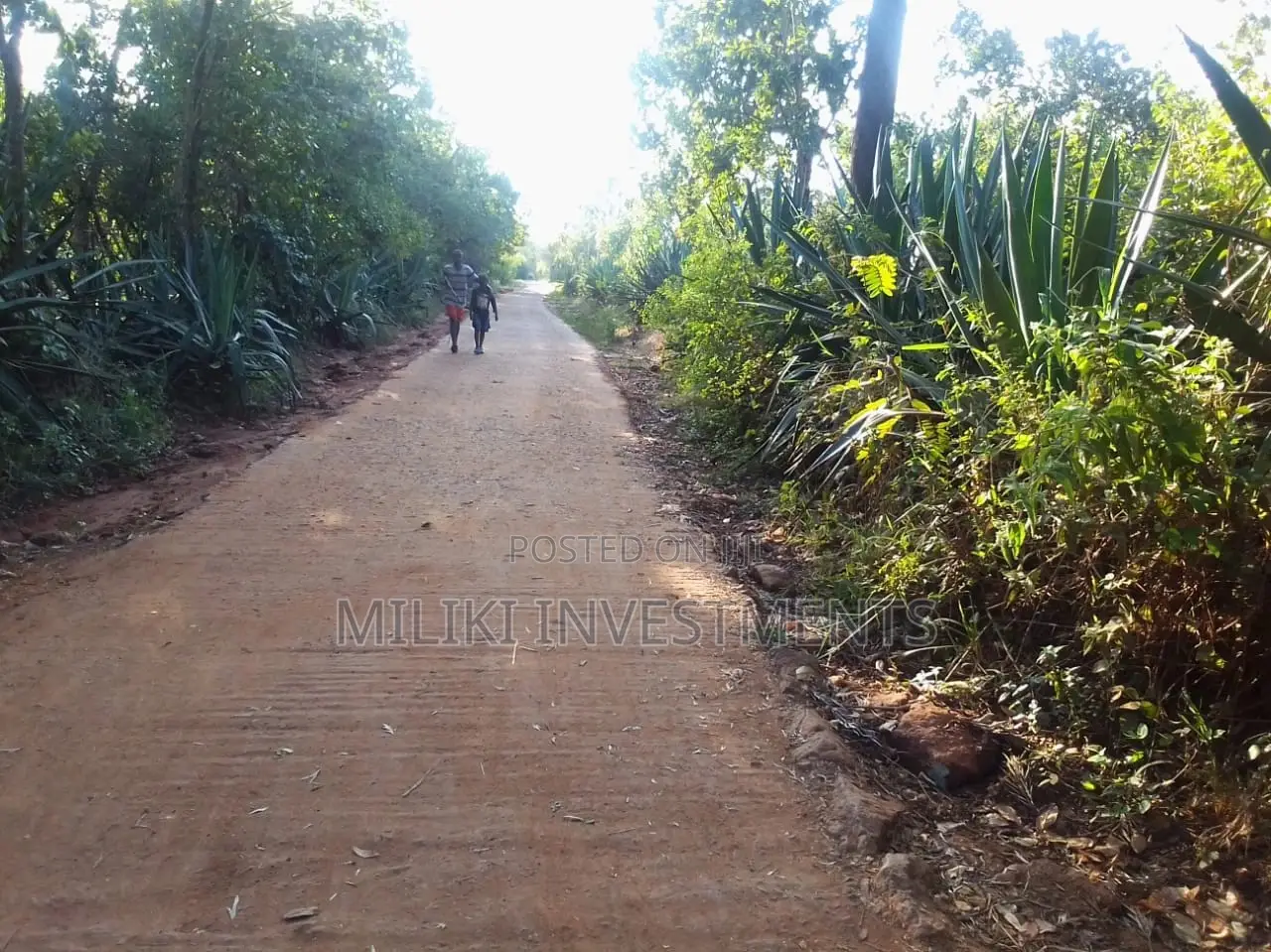 Makuyu-Kakuzi: 50 x 100 Plots Now Available for Sale in Kimorori/Wempa