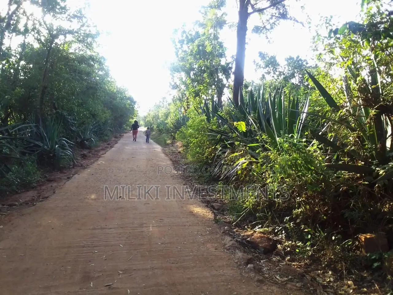 Makuyu-Kakuzi: 50 x 100 Plots Now Available for Sale in Kimorori/Wempa