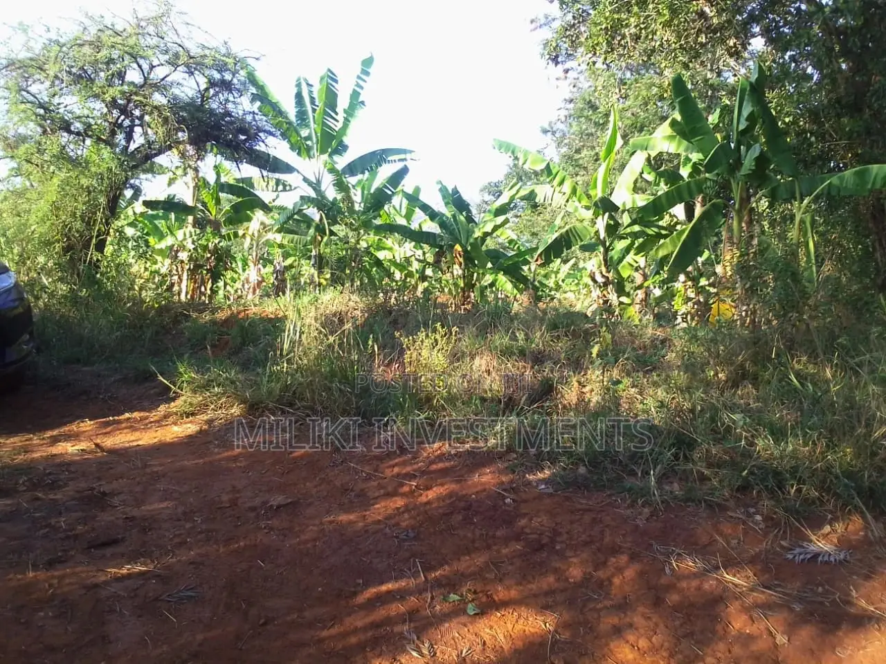 Makuyu-Kakuzi: 50 x 100 Plots Now Available for Sale in Kimorori/Wempa