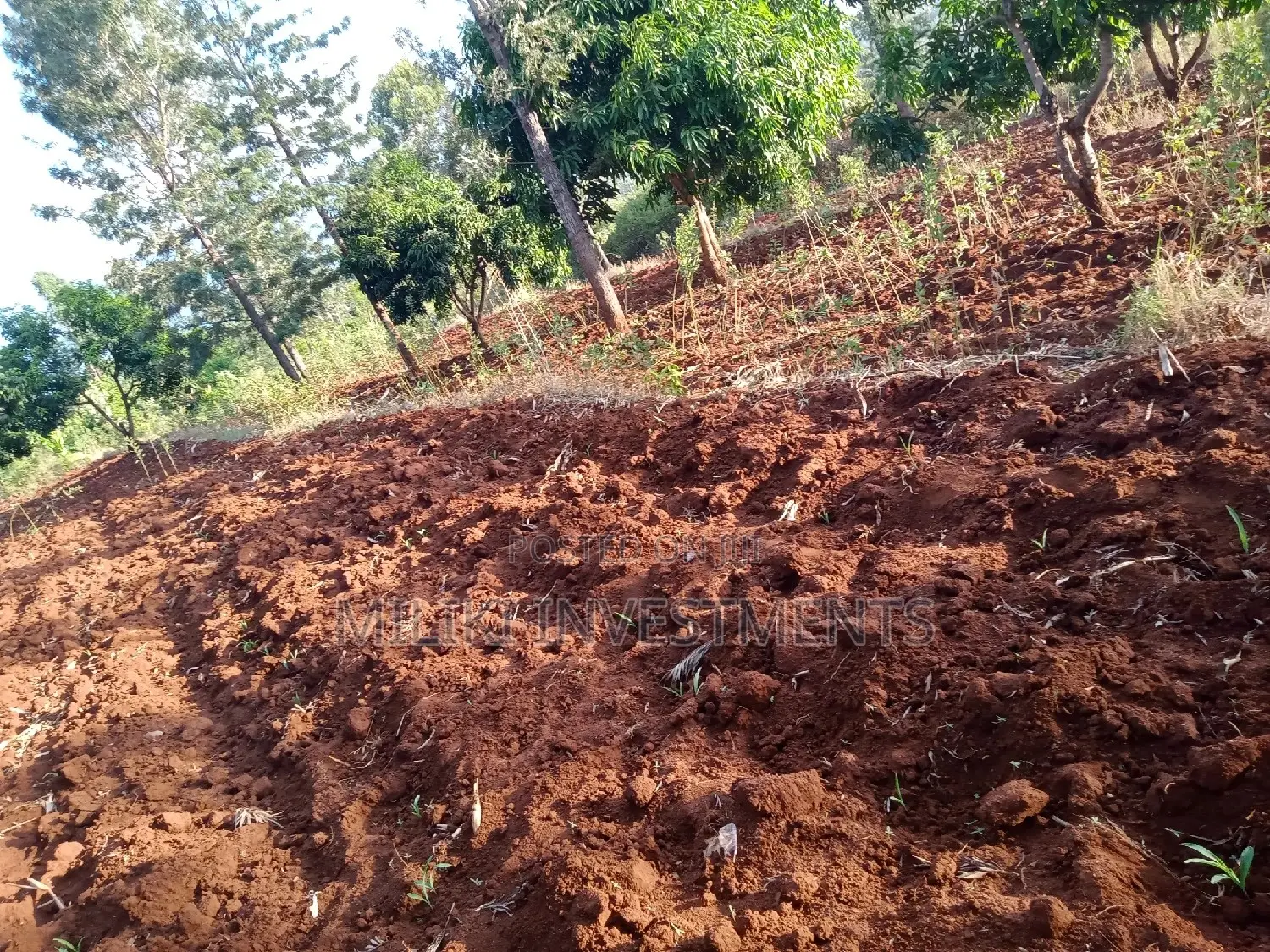 Land for Sale: Makuyu - One Acre Awaits You in Makuyu