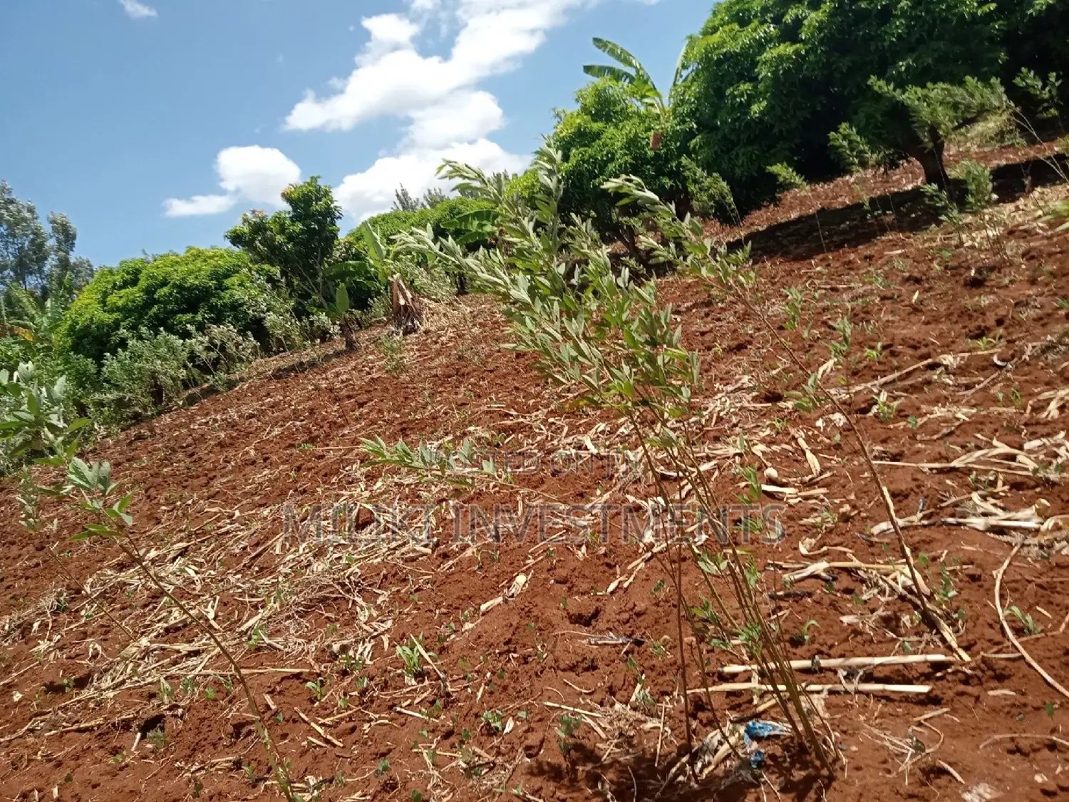 Land for Sale: Makuyu - One Acre Awaits You in Makuyu