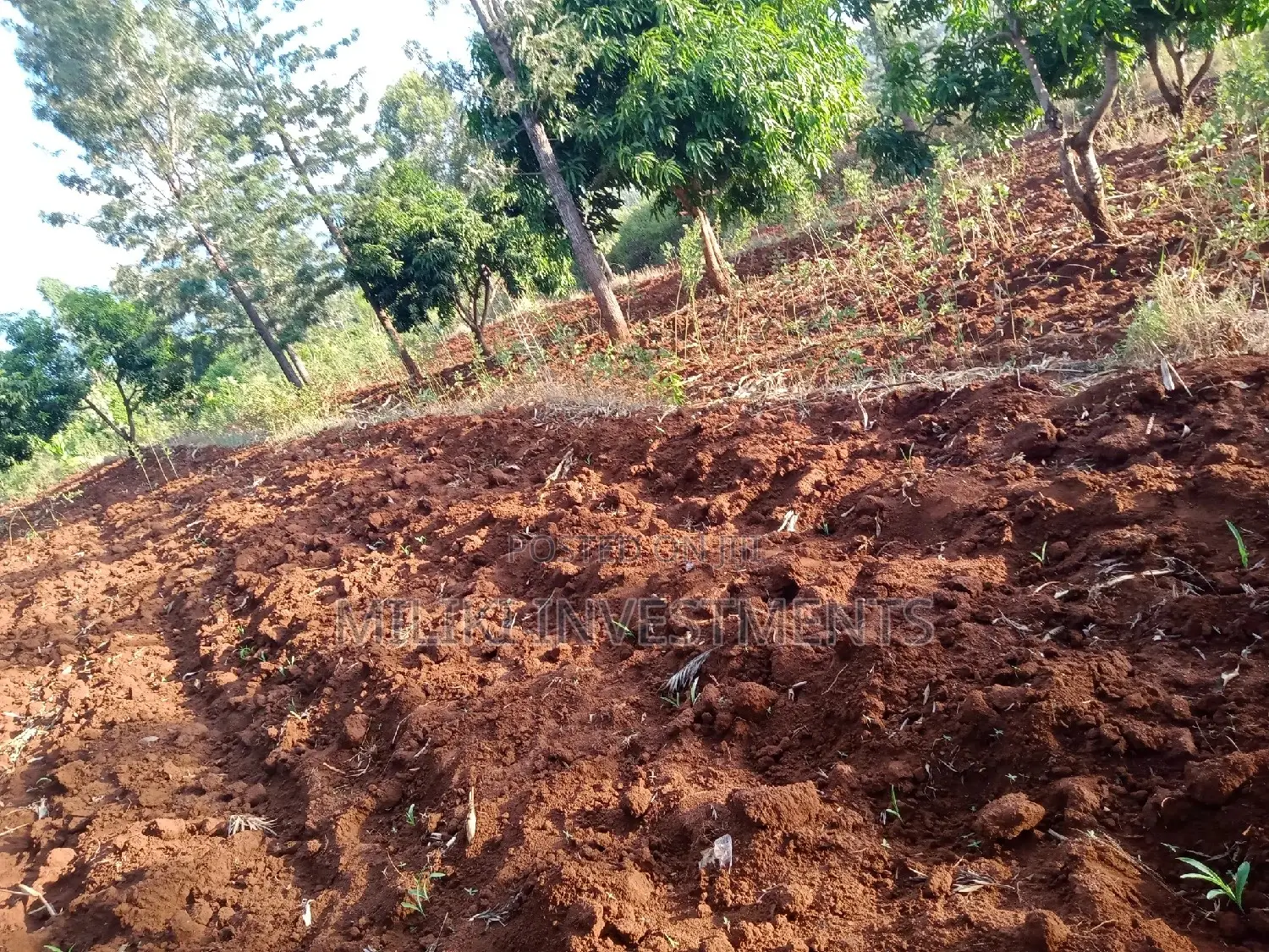 Land for Sale: Makuyu - One Acre Awaits You in Makuyu