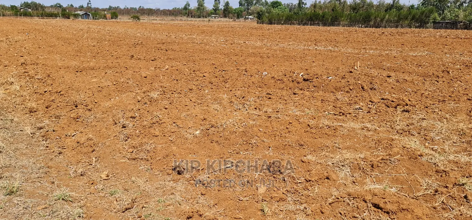 Prime Land in Merewet, Close to Eldoret Highway - Investment Opportunity! in Kuinet