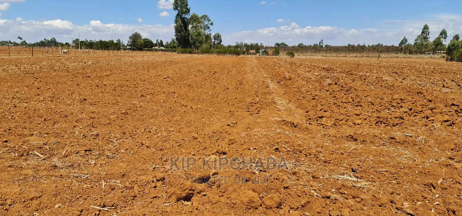 Prime Land in Merewet, Close to Eldoret Highway - Investment Opportunity! in Kuinet
