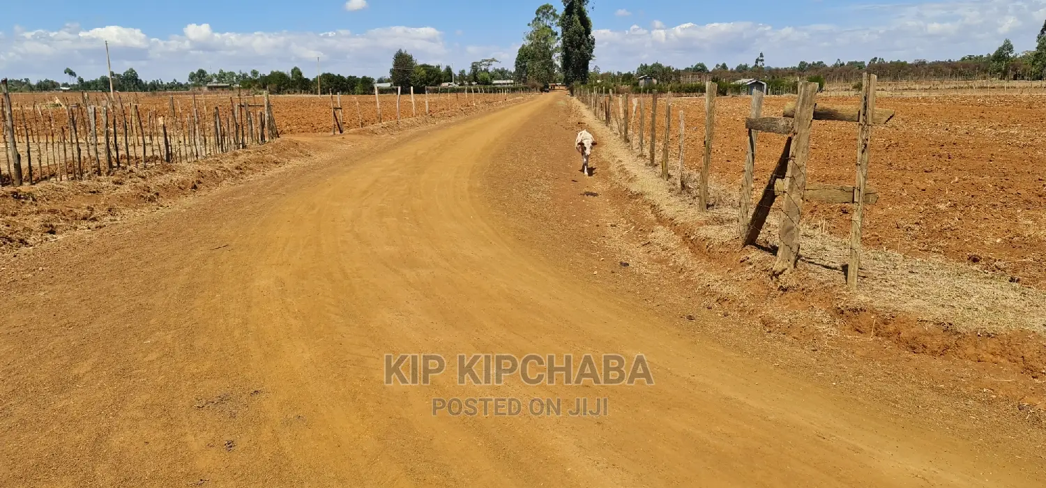 Prime Land in Merewet, Close to Eldoret Highway - Investment Opportunity! in Kuinet