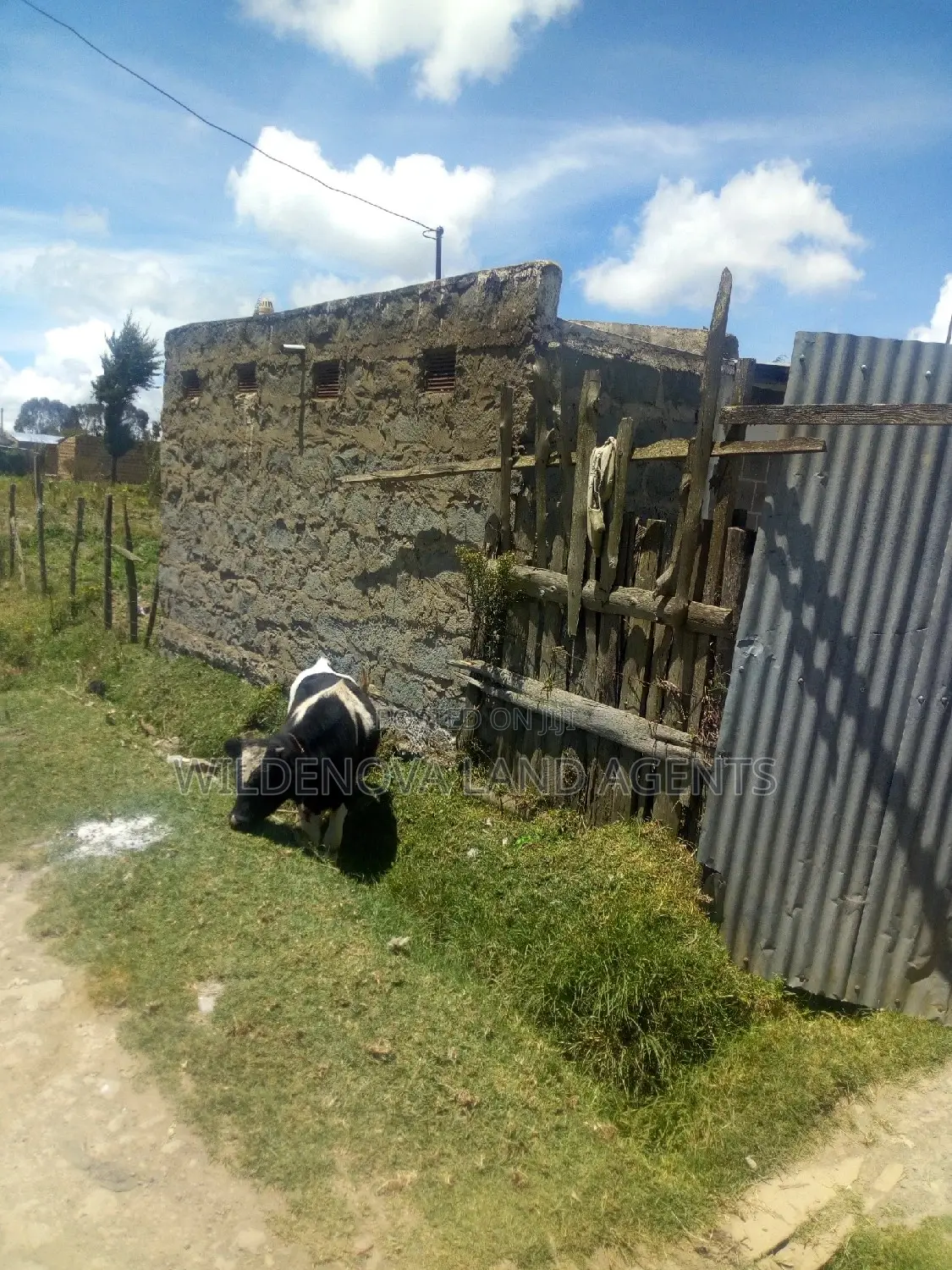 Plot for Rent: Magumu Flyover Kinangop - Make It Yours! in Magumu